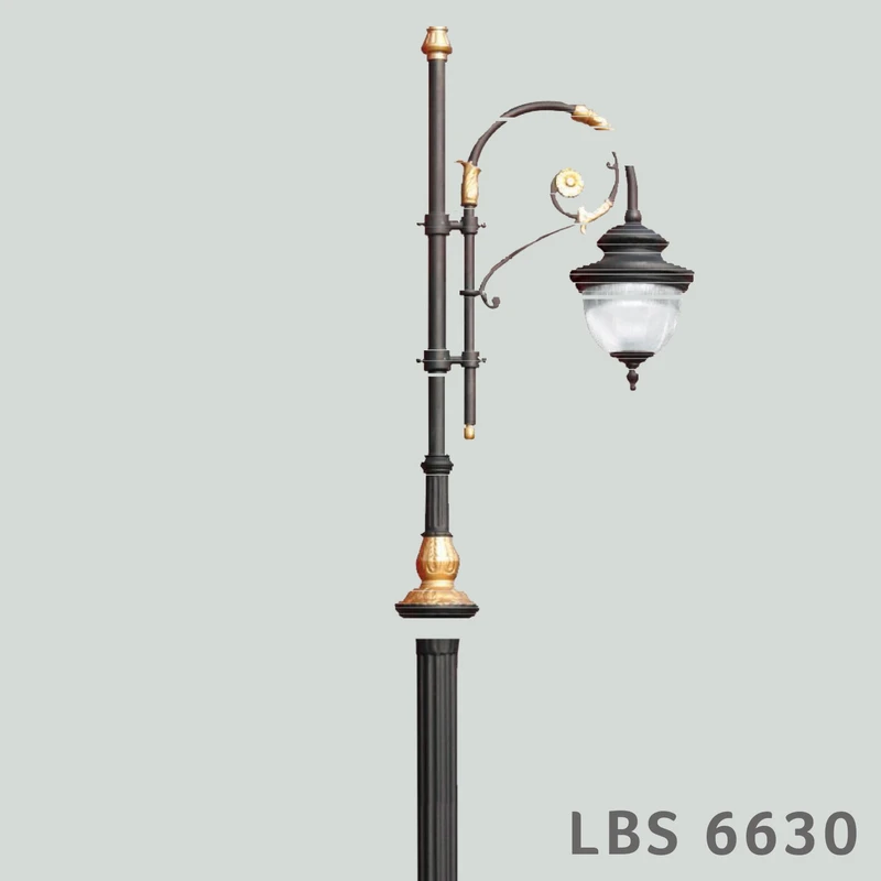 LBS 6630
